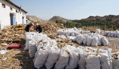 Beypazarı’nda İhtiyaç Sahiplerine Yakacak Yardımı Hazırlıkları Devam Ediyor